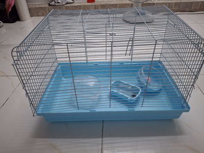 Pass lồng hamster 47cm. Mua bán Phụ kiện, Thức ăn, Dịch vụ tại Quận 8 Tp Hồ Chí Minh được đăng bởi Sang Lê