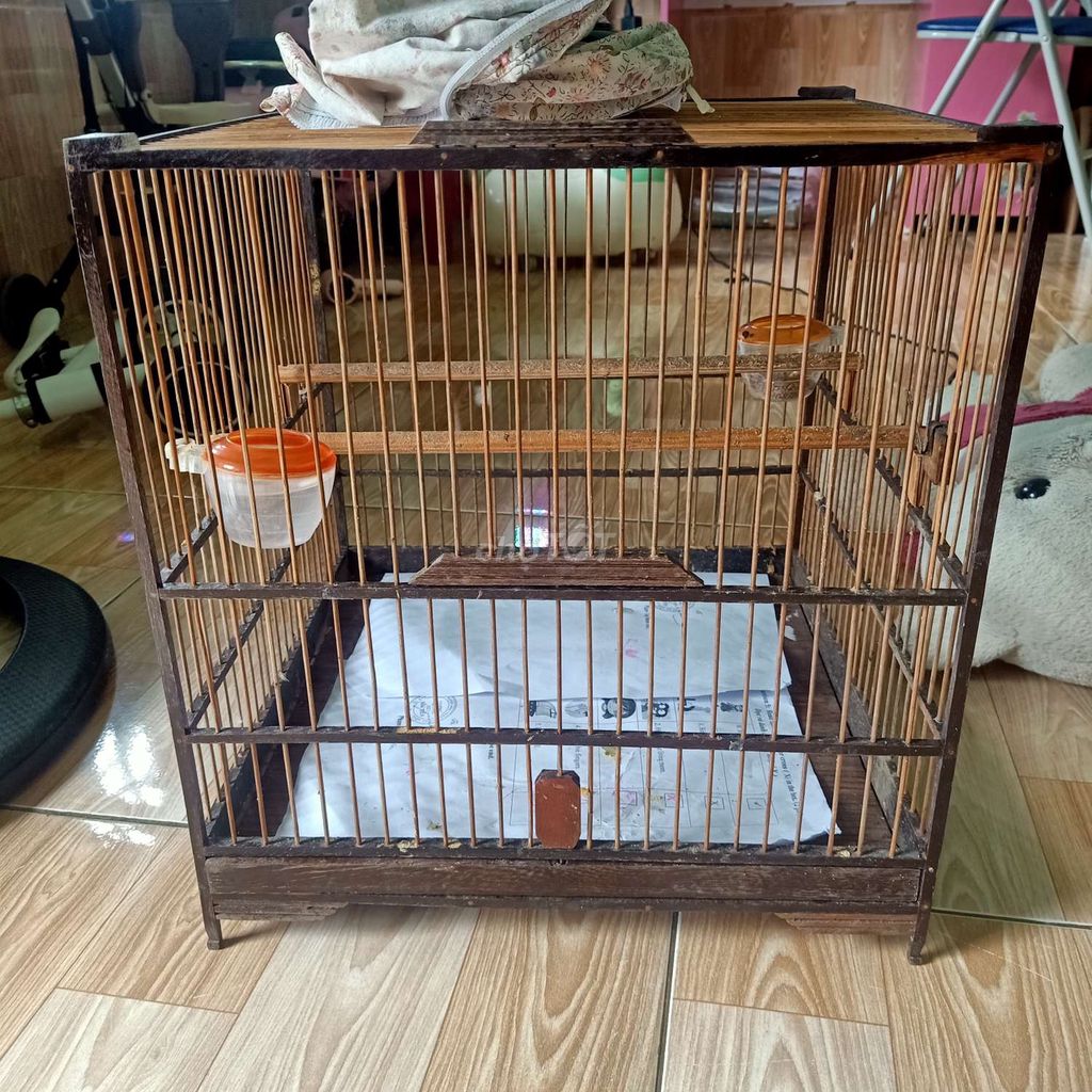 2 lồng chào mào đầy đủ phụ kiện.bao hư bao gãy. Mua bán Chim tại Huyện Hòa Vang Đà Nẵng được đăng bởi kun hình 1