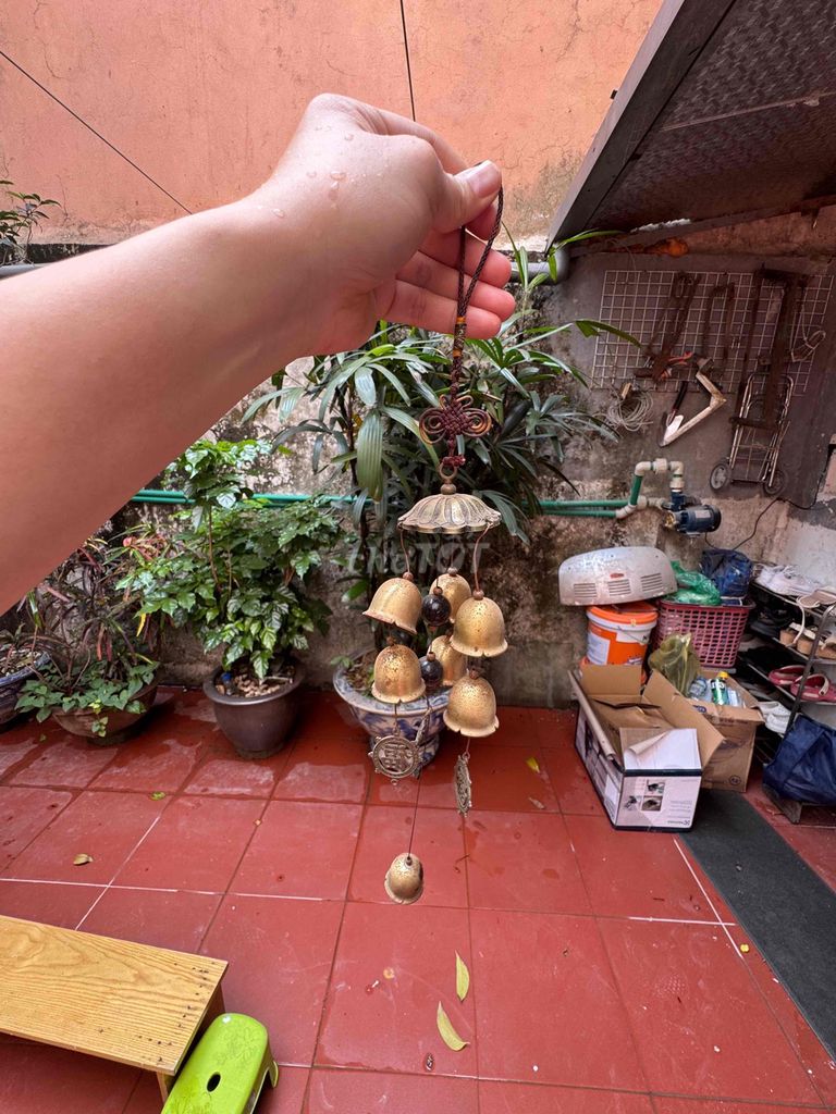 Chuông gió Kim loại Vàng đồng. Mua bán Cây cảnh, đồ trang trí tại Quận Ba Đình Hà Nội được đăng bởi Viet Yen  hình 1