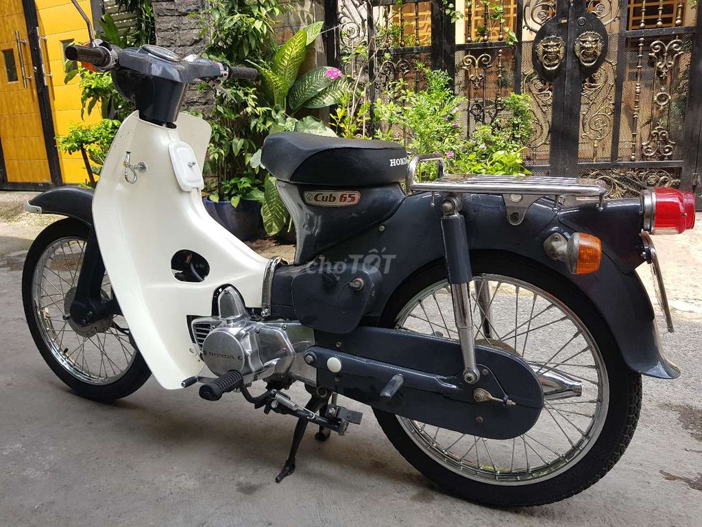 Honda piscu 65