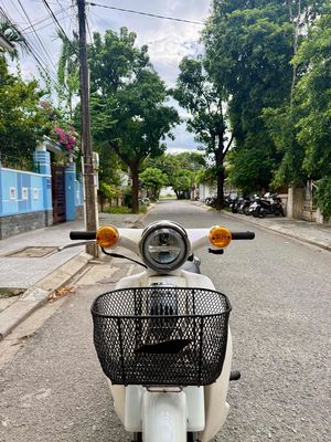 Cup 50cc 2019 7tr5 ***