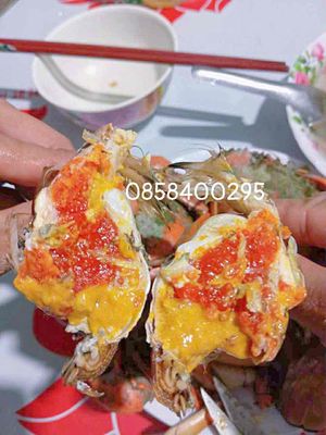 CUA BIỂN BAO ĂN. Mua bán Đồ ăn, thực phẩm và các loại khác tại Quận 8 Tp Hồ Chí Minh được đăng bởi Tiên Nguyễn