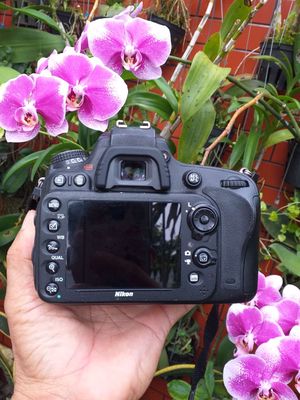 D610 lens 17/35 góc rộng. Mua bán Máy ảnh, Máy quay tại Thành phố Long Xuyên An Giang được đăng bởi Máy Ảnh An Giang