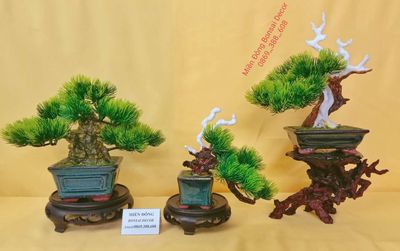 Bộ 3 cây Bonsai mini decor nghệ thuật 001