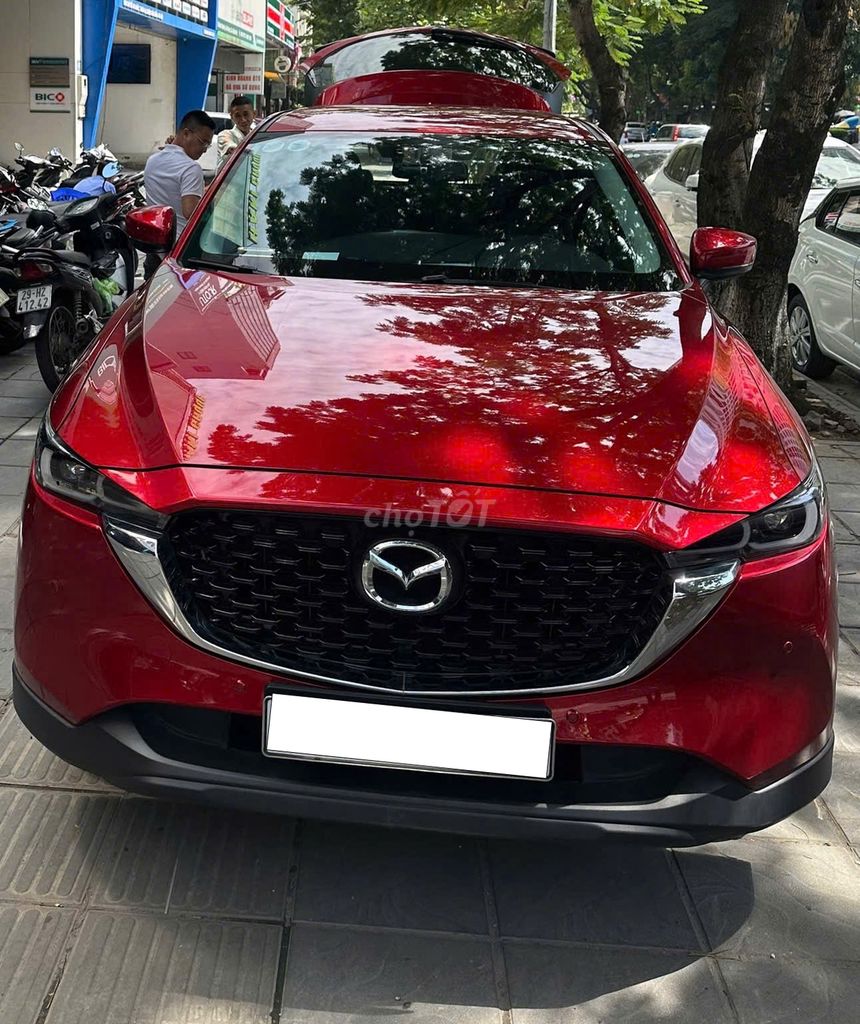 Ảnh số 5