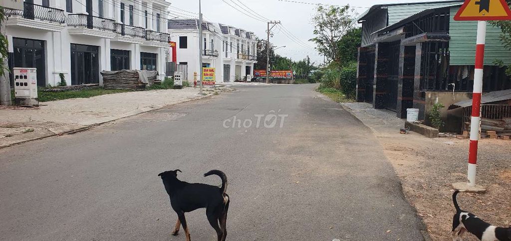 Cần bán lô đất mặt tiền đường nhựa đối diện khu dân cư thạnh phước. Mua bán đất tại Thị xã Tân Uyên Bình Dương được đăng bởi bùi quang thạch hình 5