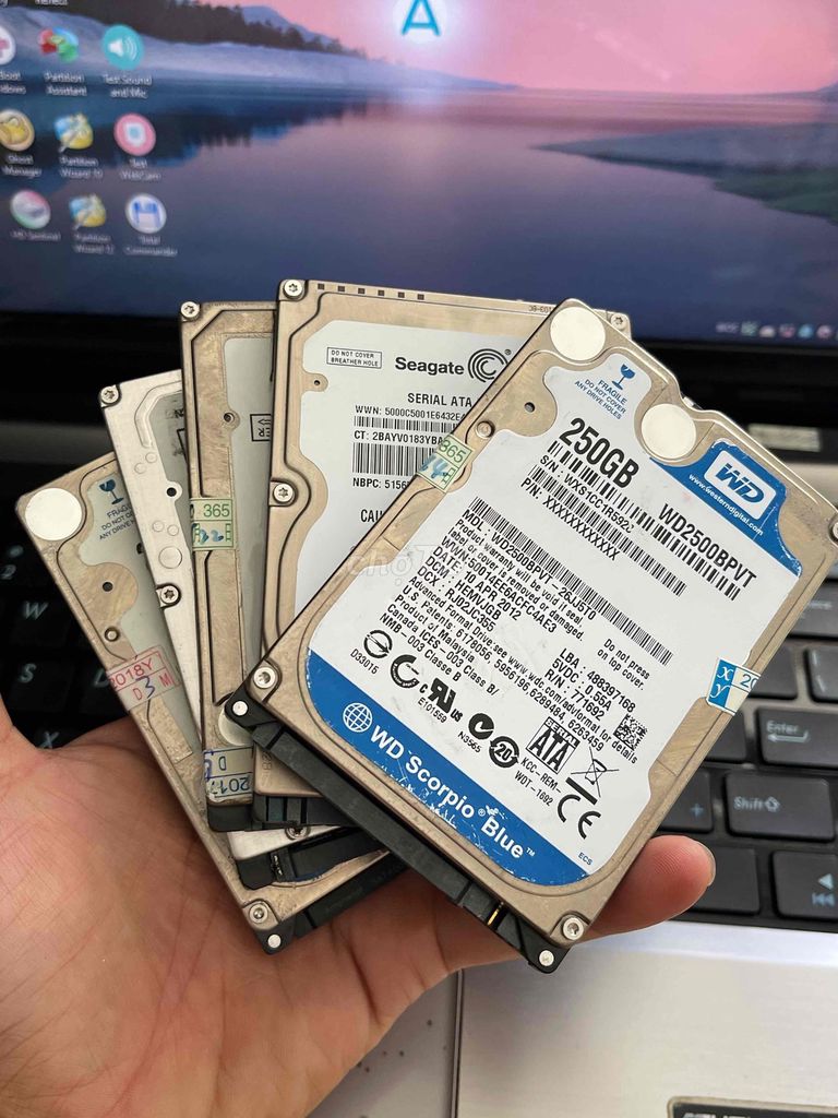 5 HDD Laptop 250GB sk 100%. Mua bán Linh kiện (RAM, Card...) tại Quận Ninh Kiều Cần Thơ được đăng bởi Ngân trương hình 1