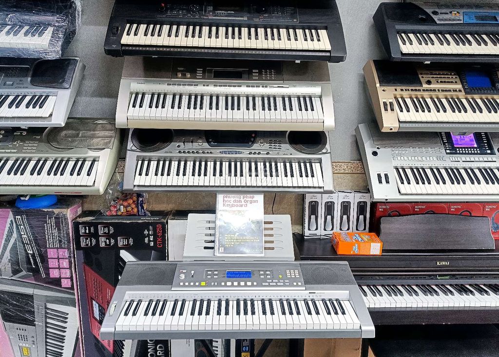 Đàn organ casio ctk-810