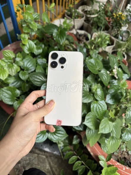Apple iPhone 14 Pro Max 256GB Vàng. Mua bán Điện thoại tại Quận 5 Tp Hồ Chí Minh được đăng bởi Hội Đồ Điện Tử hình 1