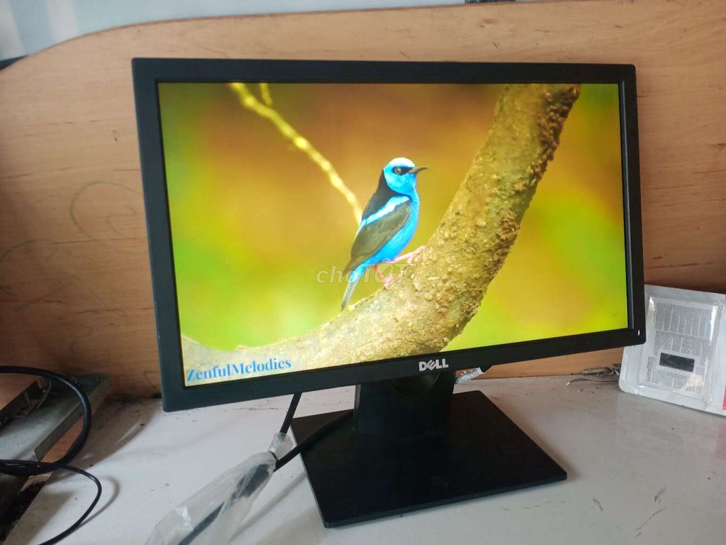 Dell đẹp 19" chất lượng cao