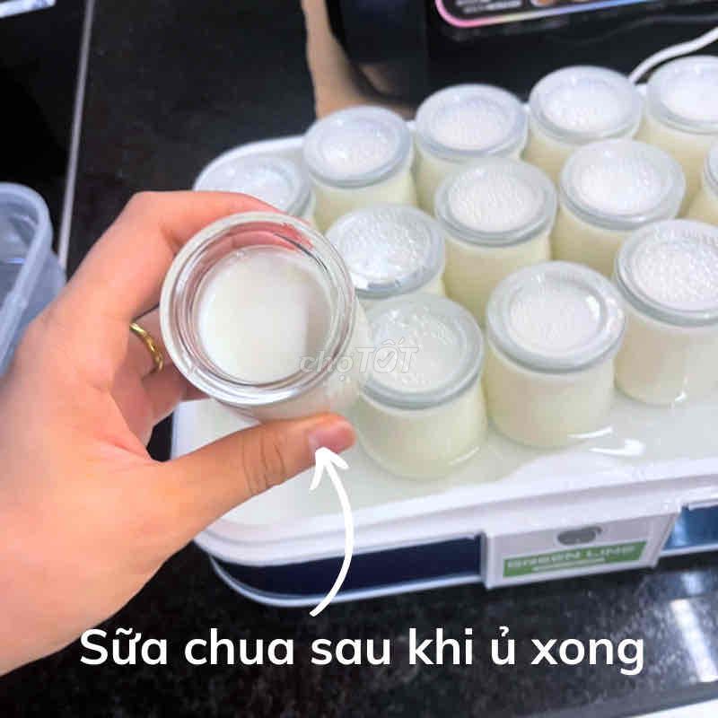 [BH12th] Máy làm sữa chua Green Line + 15 cốc thủy
