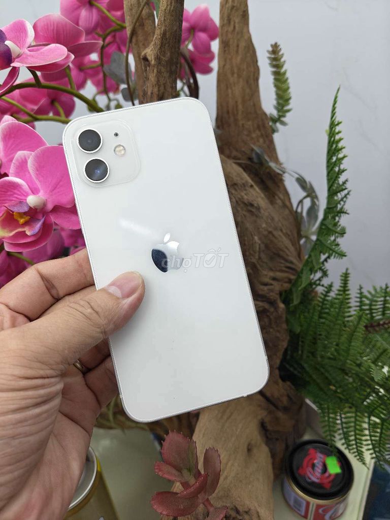 Apple iPhone 12 128GB quốc tế. Mua bán Điện thoại tại Thành phố Buôn Ma Thuột Đắk Lắk được đăng bởi Tèo Điện Thoại  hình 1