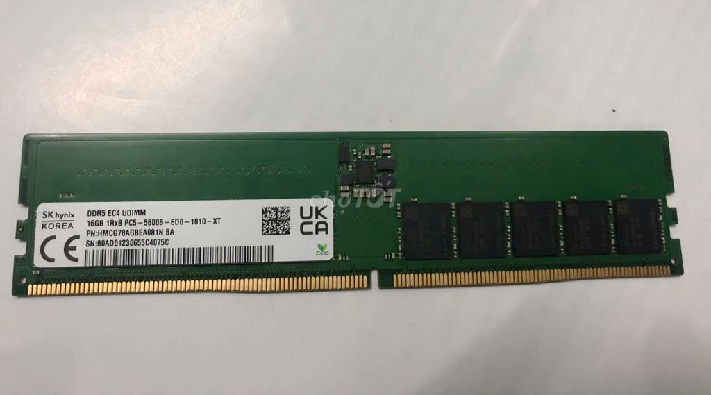 RAM D5 ECC UDIMM 16GB 5600. Mua bán Linh kiện (RAM, Card...) tại Thành phố Thủ Đức Tp Hồ Chí Minh được đăng bởi Giang hình 1