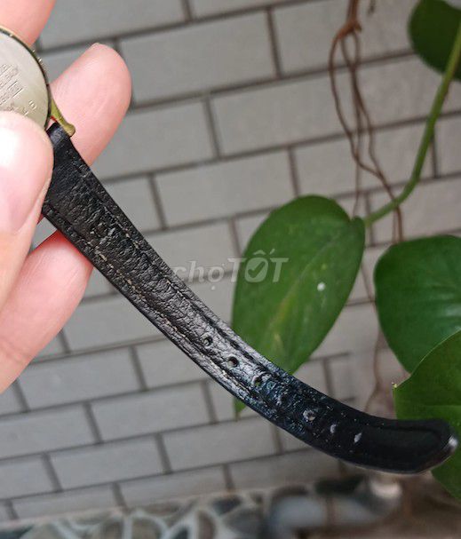 Alba -Đồng hồ Nữsize nhỏ mạ vàng chuẩn Nhật bềnđẹp. Mua bán Đồng hồ tại Huyện Nhà Bè Tp Hồ Chí Minh được đăng bởi Hàng hiệu Secondhand hình 3