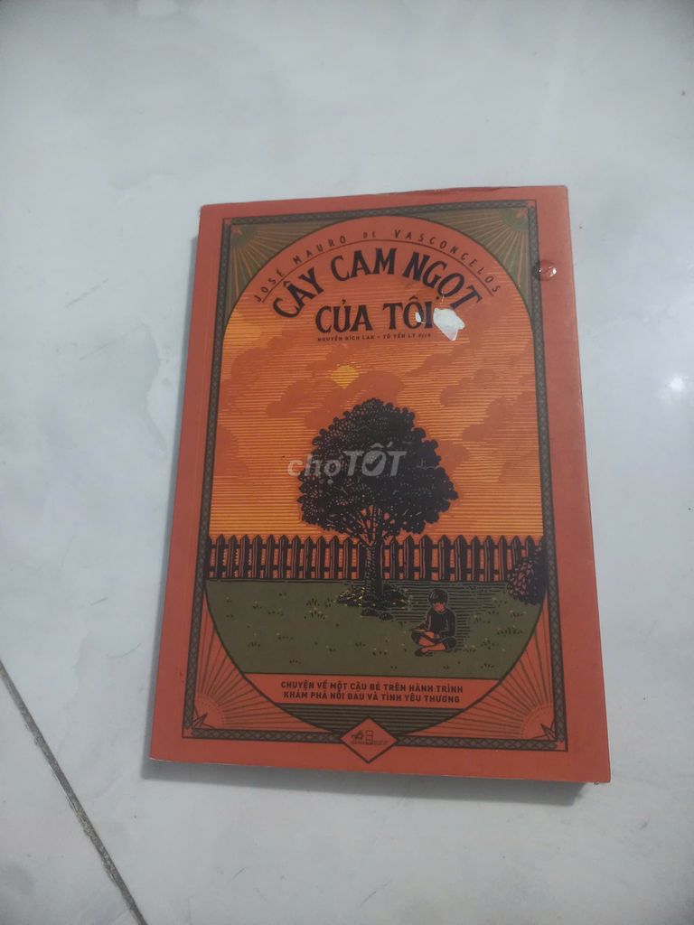 CÂY CAM NGỌT CỦA TÔI  - JOSÉ MAURO DE VASCONCELOS. Mua bán Sách tại Thành phố Biên Hòa Đồng Nai được đăng bởi Trần Duy Thường hình 1
