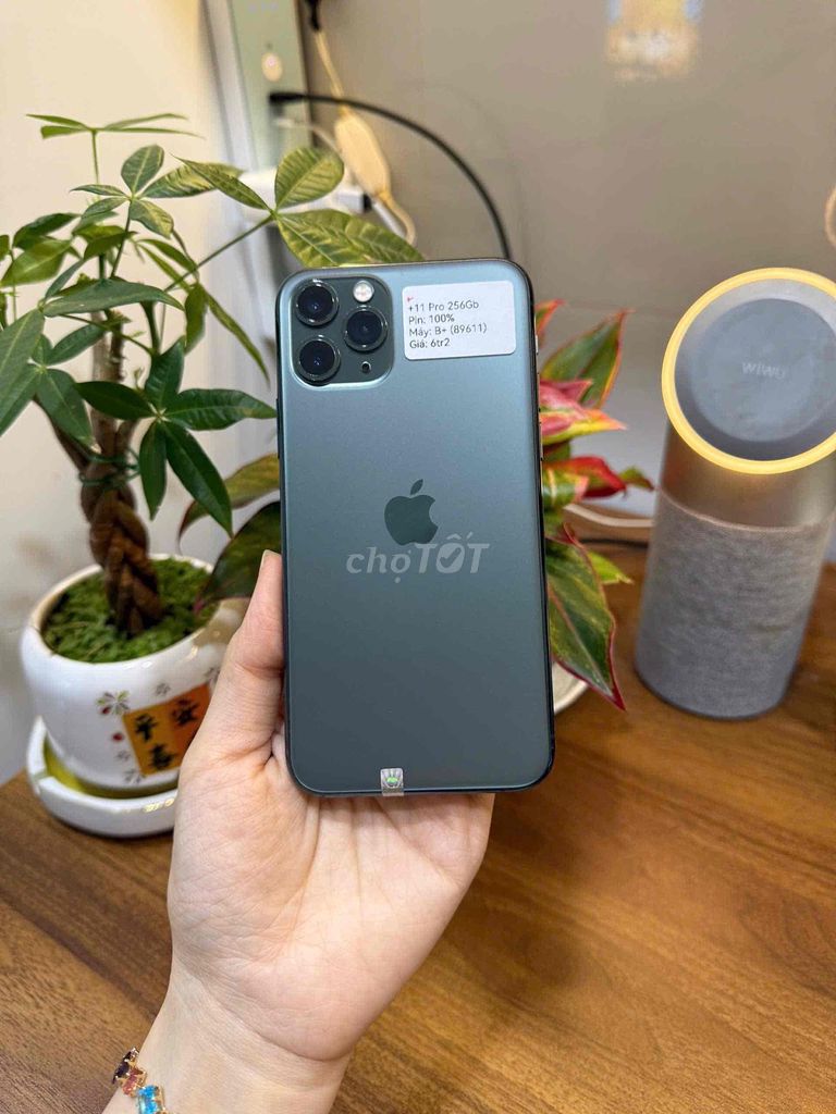 iPhone 11 Pro 256Gb quốc tế zin đẹp 98.5 pin 100%. Mua bán Điện thoại tại Huyện Hóc Môn Tp Hồ Chí Minh được đăng bởi SIRI STORE HCM hình 1