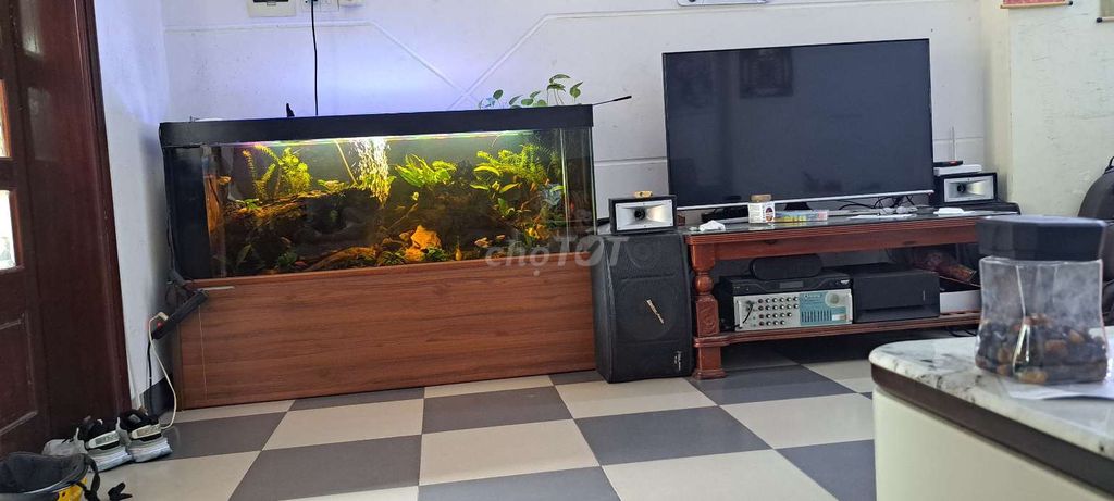 Hồ cá thủy sinh 1600x300. Mua bán Phụ kiện, Thức ăn, Dịch vụ tại Quận Thanh Khê Đà Nẵng được đăng bởi Nam hình 1
