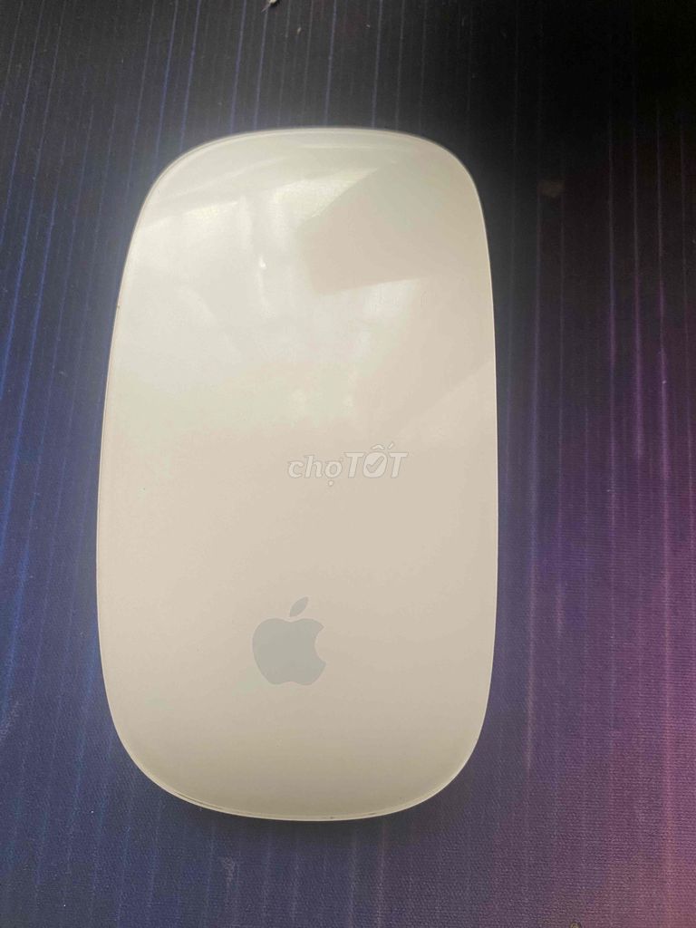 Xác Magic Mouse