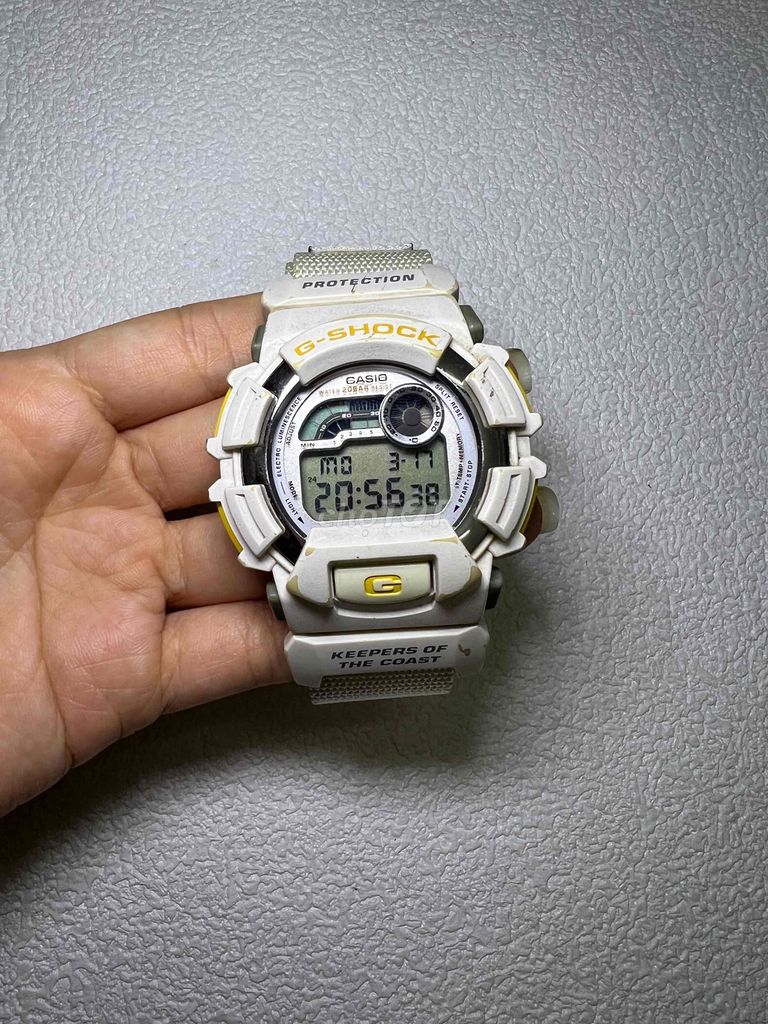 Đồng hồ casio DW-9500