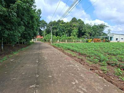 Bán lô 348m2+100TC,đường bê tông 7m, Sát bên Chợ An Linh Giá:450tr. Mua bán đất tại Huyện Phú Giáo Bình Dương được đăng bởi Chí Thanh land