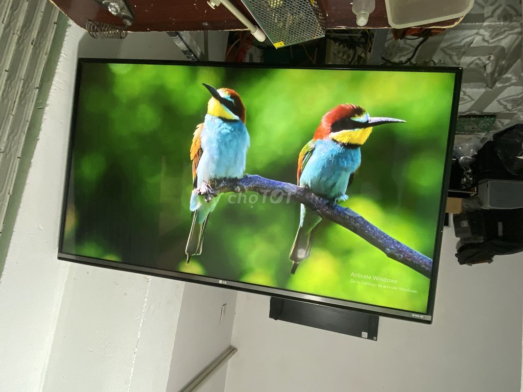 Tivi LG 4K 49 inch xem đá banh đi ae. Mua bán Tivi, Âm thanh tại Quận 6 Tp Hồ Chí Minh được đăng bởi Quang hình 1