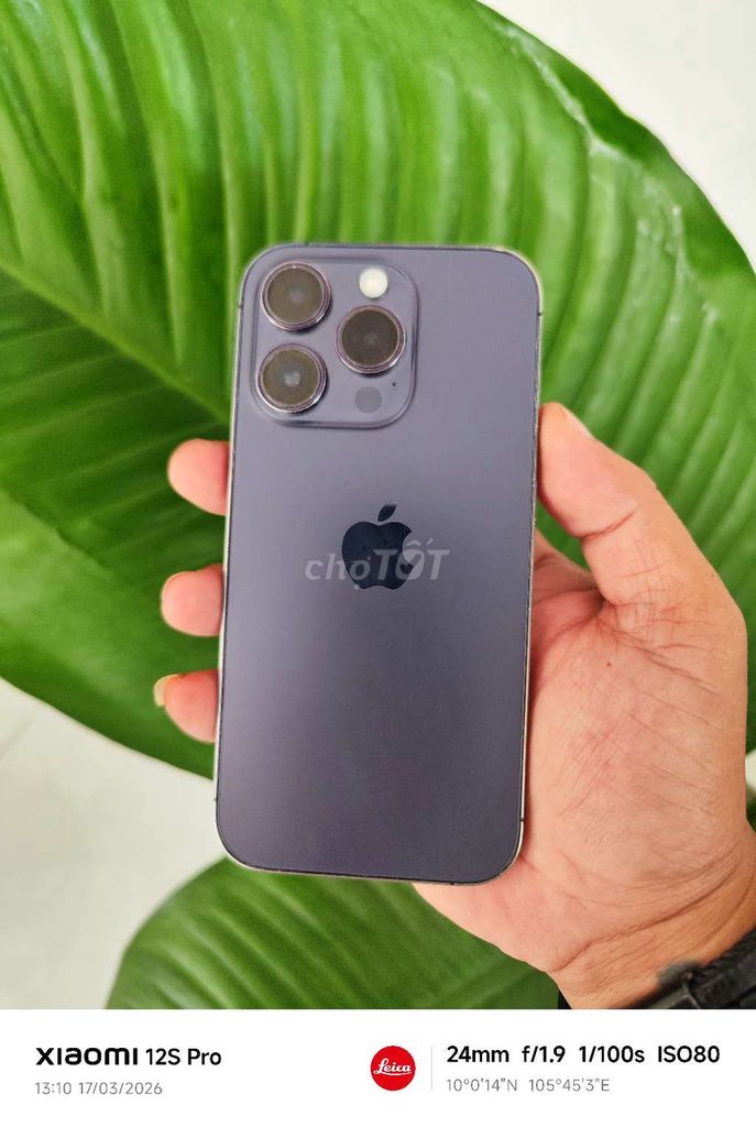 Apple iPhone 14 Pro 128GB Tím. Mua bán Điện thoại tại Quận Cái Răng Cần Thơ được đăng bởi Ngân Long Trung hình 1