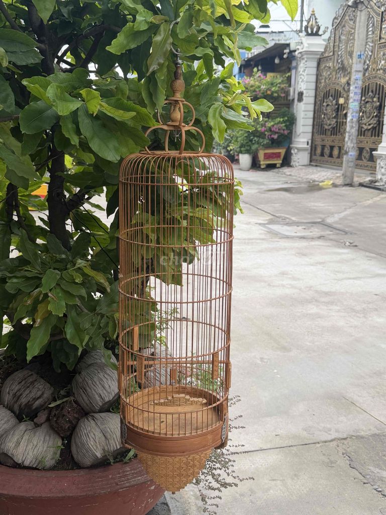 Lồng chim Tre tự nhiên Nâu. Mua bán Phụ kiện, Thức ăn, Dịch vụ tại Quận Bình Tân Tp Hồ Chí Minh được đăng bởi Lê Tuấn hình 1