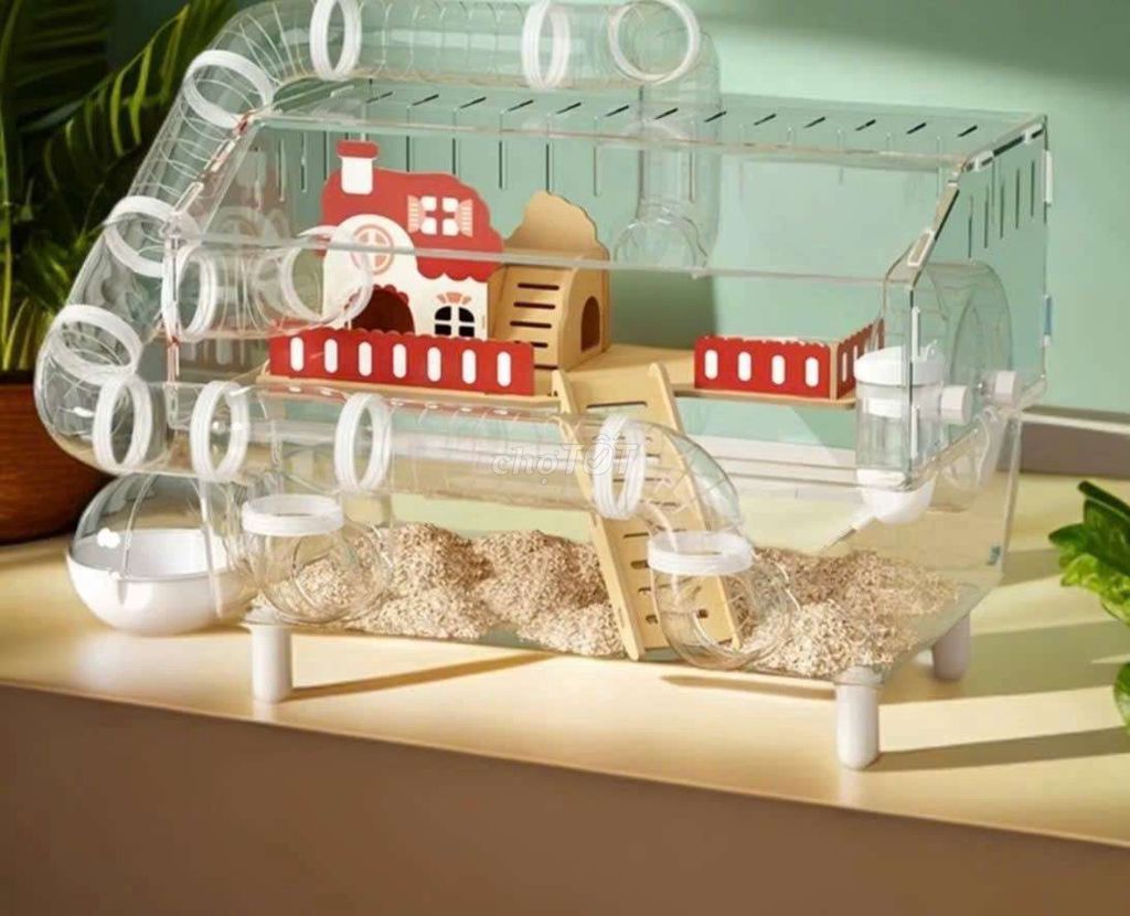 Chuột Hamster Trắng. Mua bán Thú cưng khác tại Quận Tân Phú Tp Hồ Chí Minh được đăng bởi long hình 1