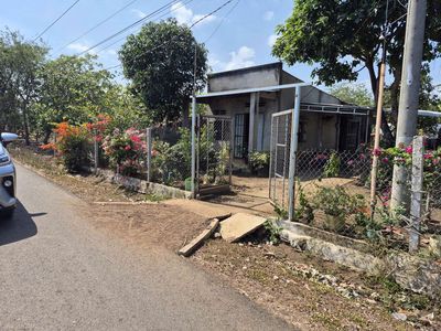 Đất nền thổ cư, mặt tiền đường nhựa chủ gấp bán chỉ hơn 400 triệu