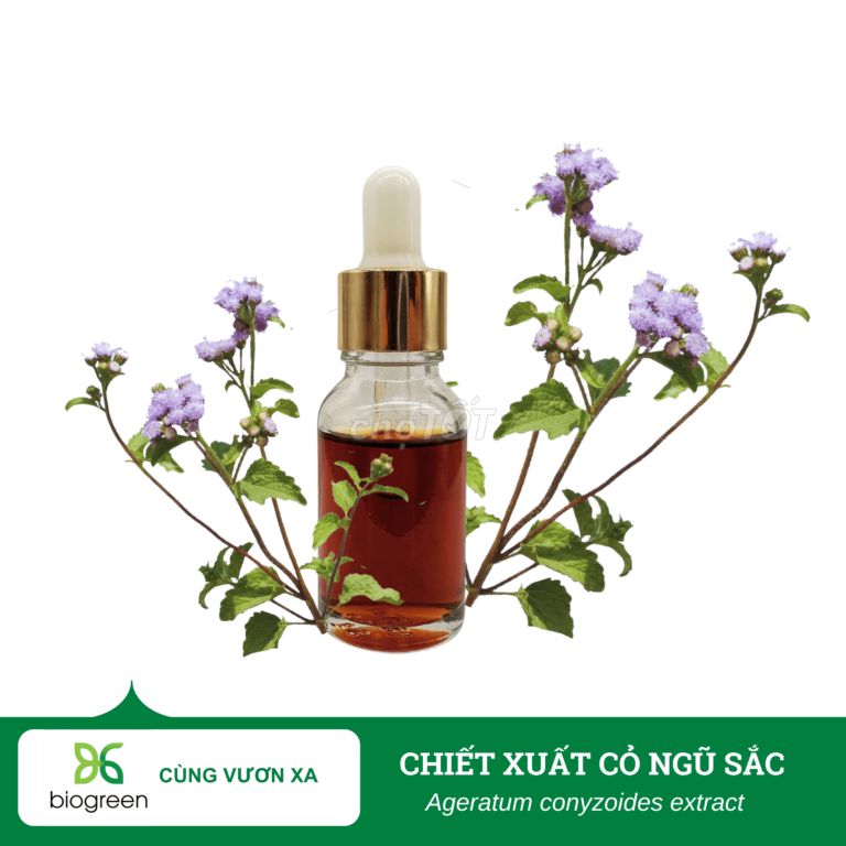 Chiết Xuất Cỏ Ngũ Sắc – Bí Quyết Cho Da Khỏe Mạnh