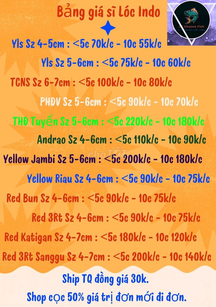 Lóc Indo Sỉ & Lẻ.