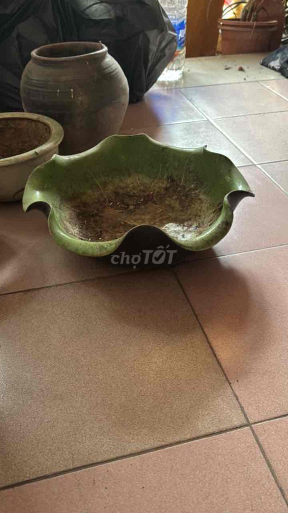 Chậu cây gốm xanh lá. Mua bán Cây cảnh, đồ trang trí tại Quận Hai Bà Trưng Hà Nội được đăng bởi Nguyễn Công Minh hình 1
