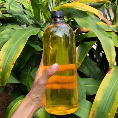 Dầu đậu phộng Bình Định nguyên chất. Mua bán Đồ ăn, thực phẩm và các loại khác tại Quận Gò Vấp Tp Hồ Chí Minh được đăng bởi Chị Tư