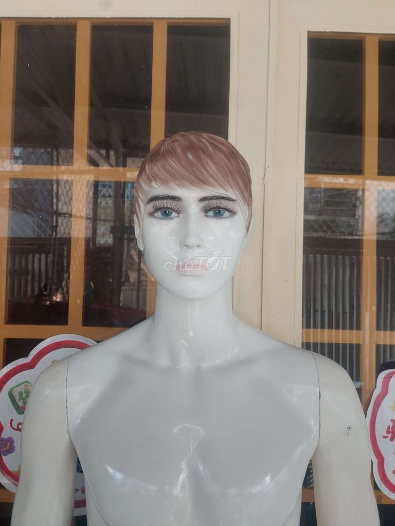 manacanh, manocanh, ma nơ canh, ma-nơ-canh. Mua bán Đồ chuyên dụng, Giống nuôi trồng tại Quận 7 Tp Hồ Chí Minh được đăng bởi Thanhhuu hình 1