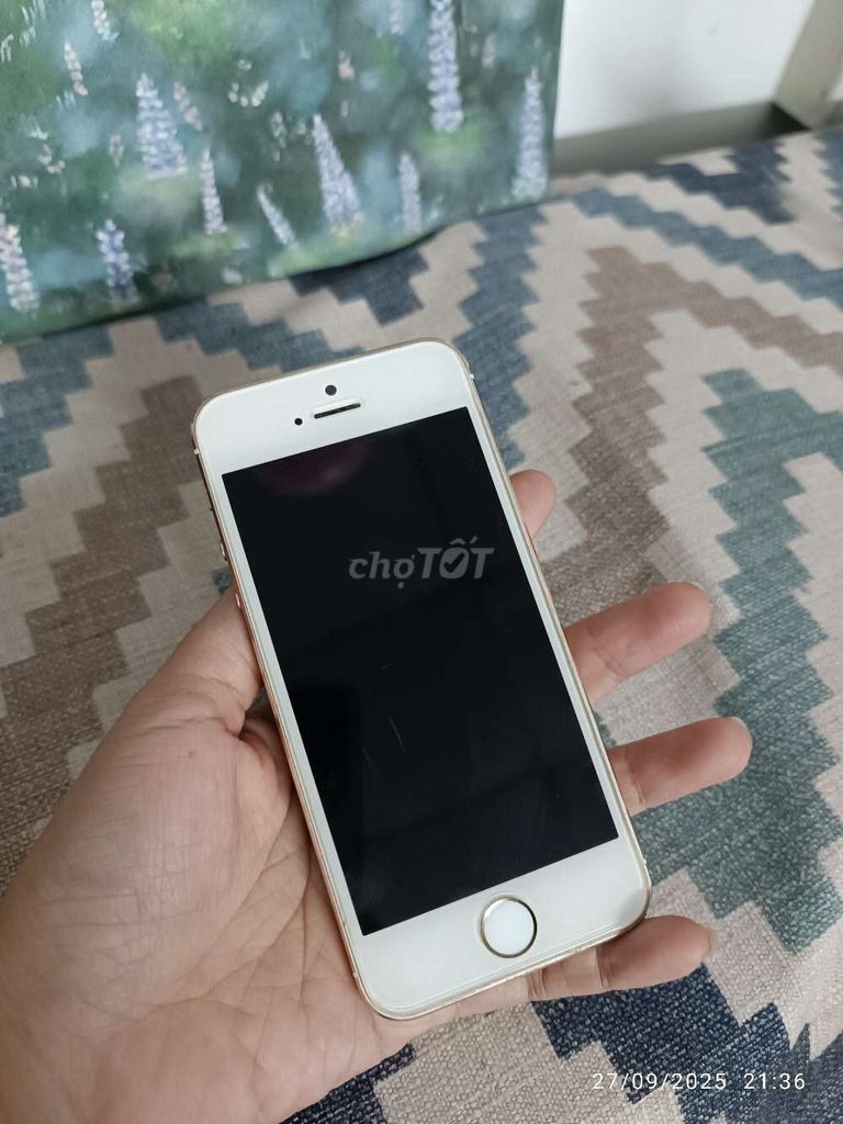 Thanh lí iPhone 5S còn tốt chưa từng sửa chữa. Mua bán Điện thoại tại Quận 6 Tp Hồ Chí Minh được đăng bởi nguyen thi hoai thuong hình 1