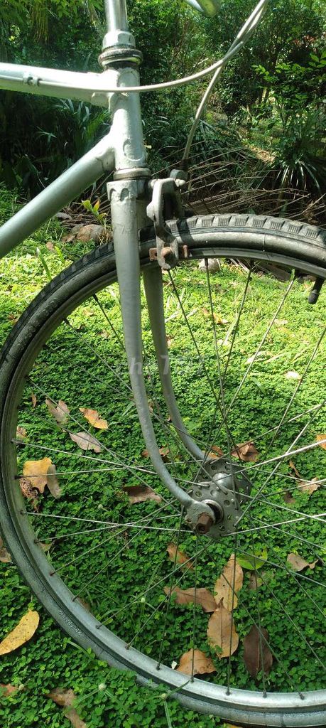 Xe đạp xưa. Mua bán Xe đạp tại Huyện Châu Thành Bến Tre được đăng bởi pham xuân tam hình 3