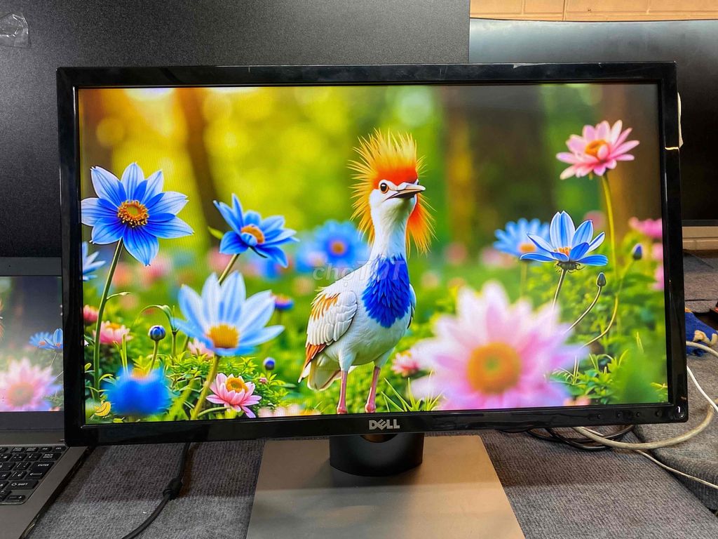 MÀN HÌNH DELL 24” 75hz đẹp zin nguyên bản sáng ok