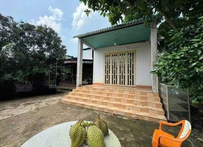 Chính Chủ Bán Ngộp Nhà cấp 4, Vườn Cây Trái rộng 2600m2, Giá 650 triệu
