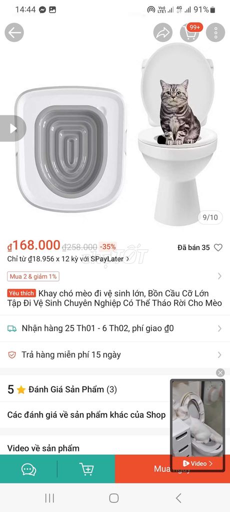 Khay tập đi toilet cho mèo