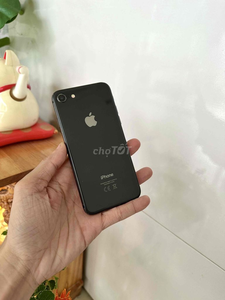 Apple iPhone 8G Đen Đã sử dụng. Mua bán Điện thoại tại Thành phố Long Xuyên An Giang được đăng bởi phong LX  hình 1
