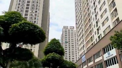 🏙️ AN CƯ LÝ TƯỞNG TẠI KĐT TÂN TÂY ĐÔ – KHÔNG GIAN SỐNG XANH, TIỆN NGHI,