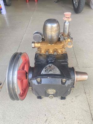 ĐẦU RỬA TY XỨ. Mua bán Đồ chuyên dụng, Giống nuôi trồng tại Thành phố Biên Hòa Đồng Nai được đăng bởi Anh Lễ 