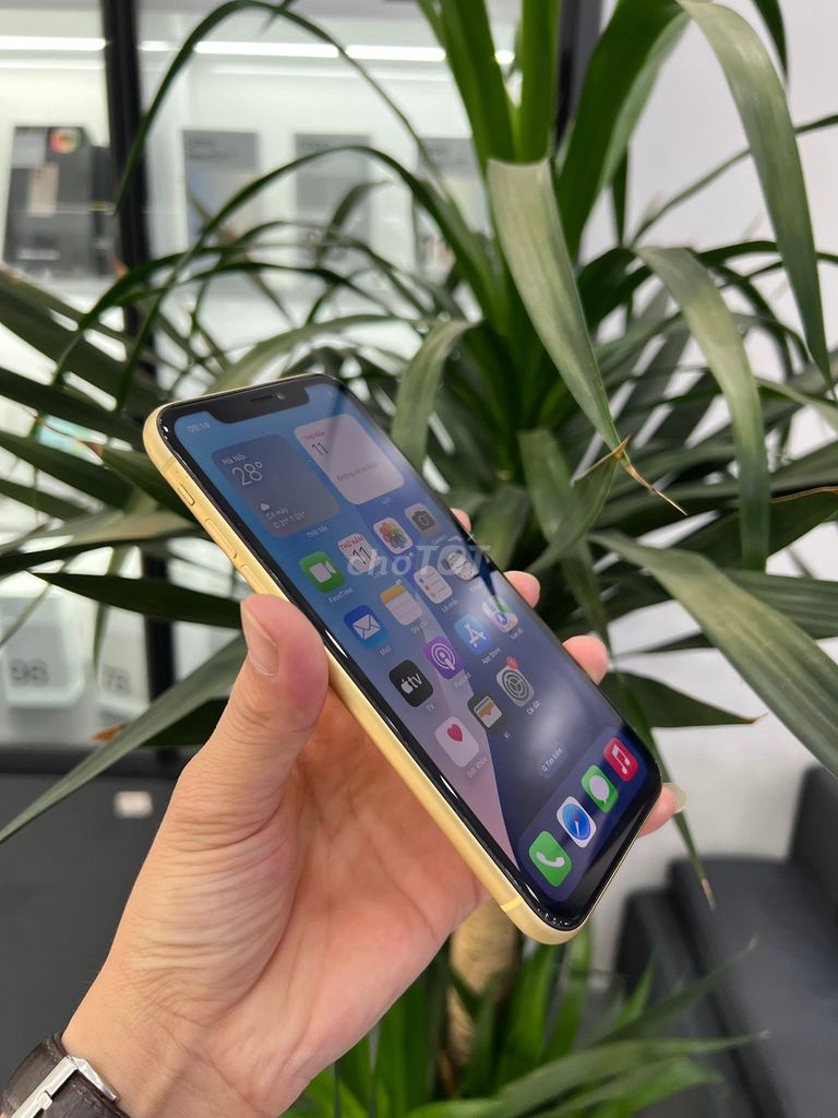 Apple iPhone Xr 64GB Vàng 98% zin Pin mới thay. Mua bán Điện thoại tại Huyện Thái Thụy Thái Bình được đăng bởi Thắng Phạm hình 1