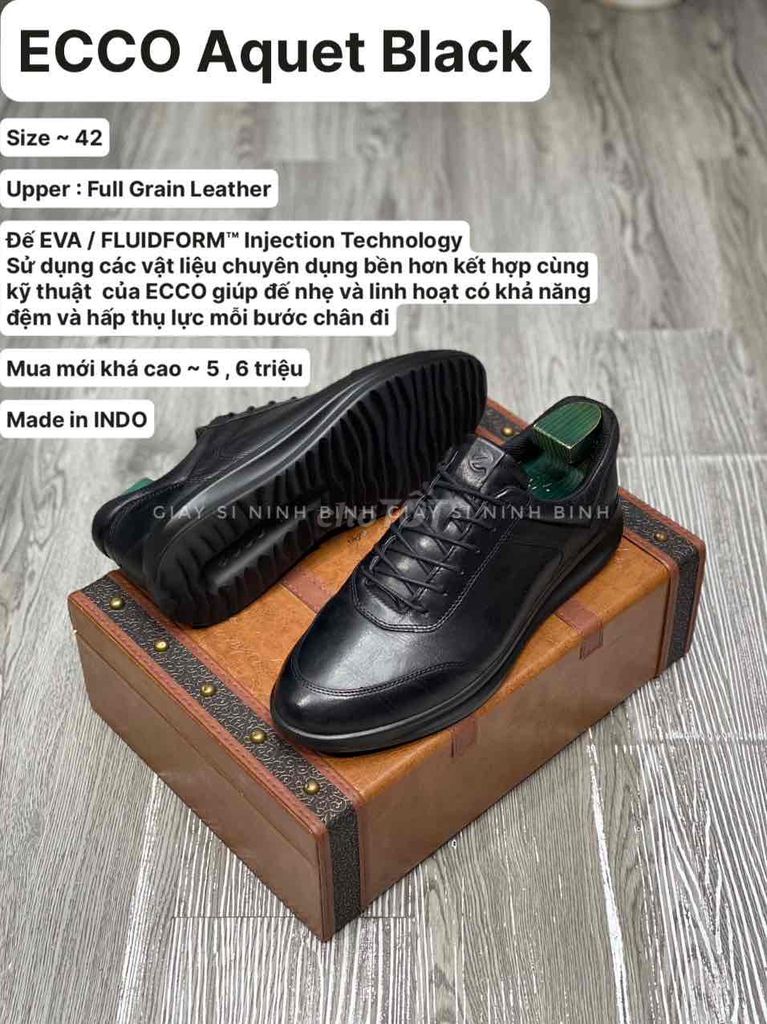 Giày hiệu Hermes. Gucci. Ecco chính hãng