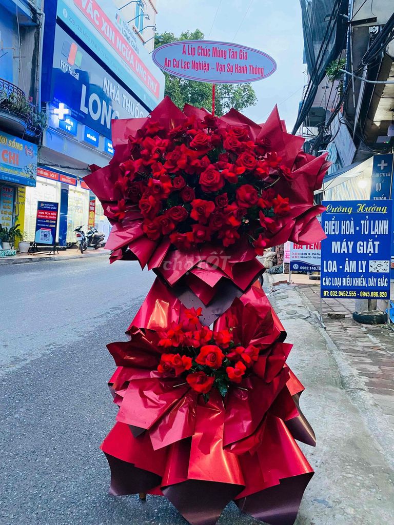 Hoa khai trương Hoa hồng Đỏ Quà tặng. Mua bán Cây cảnh, đồ trang trí tại Huyện Tiên Du Bắc Ninh được đăng bởi TRUNG TÂM TỔ CHỨC DỊCH VỤ CƯỚI HỎI TRỌN GÓI DUYÊN GẤM hình 1