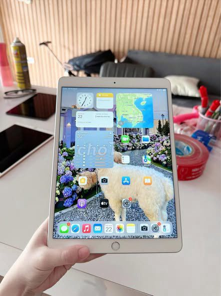 Apple iPad Bạc. Mua bán Máy tính bảng tại Quận 5 Tp Hồ Chí Minh được đăng bởi Hội Đồ Điện Tử hình 1