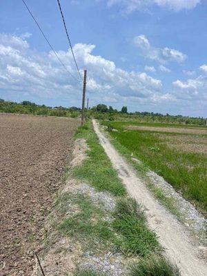🔶4562m đất lúa thuộc thị trấn Cần Giuộc Long An🌈 💥Đường 3m cách đường. Mua bán đất tại Huyện Cần Giuộc Long An được đăng bởi HỒNG ĐẠO