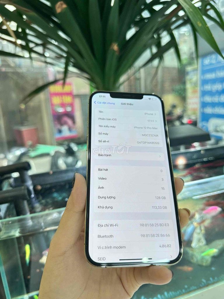 Apple iPhone 12 Pro Max 128GB Vàng. Mua bán Điện thoại tại Quận Cầu Giấy Hà Nội được đăng bởi Táo Zin Hà Nội hình 1