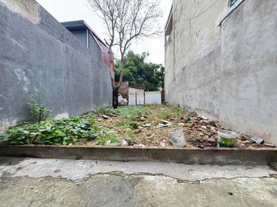 Bán Đất Tráng Việt - Mê Linh - Hn. Dt 51m2 - Giá 1,87 Tỷ.. Mua bán đất tại Huyện Mê Linh Hà Nội được đăng bởi Tuyen Hoang