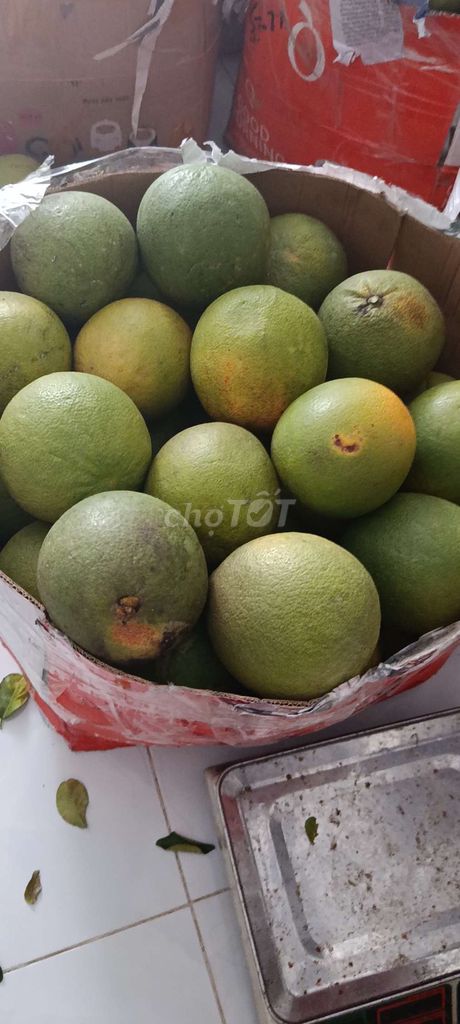 Bưởi da xanh lão bưởi. Mua bán Đồ ăn, thực phẩm và các loại khác tại Huyện Nhà Bè Tp Hồ Chí Minh được đăng bởi ngoc cam hình 1